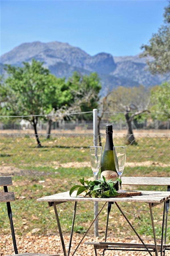 Ca'N Guiri, Eco Finca In Mallorca Campanet Exterior photo